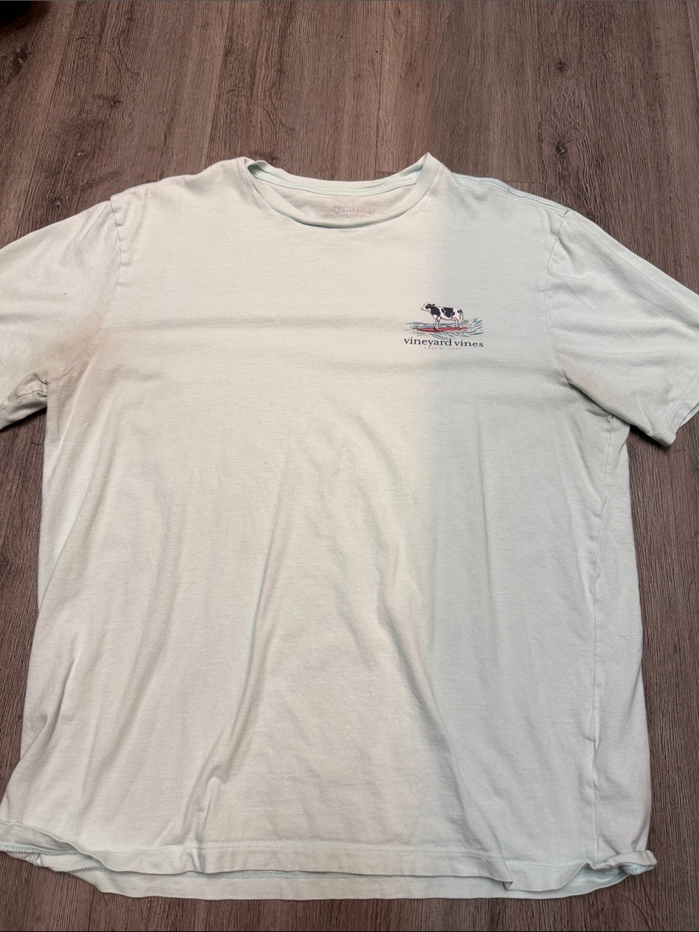 Vineyard Vines Men's Mint Green Short Sleeve Crewneck Tee